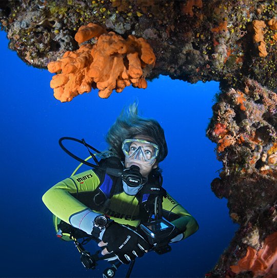 EasyDivers